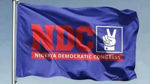 Nigeria-Democratic-Congress-1536x864-1-300x169 Scientists Discover New COVID-19 Infection Pathway That May Explain Severe Cases