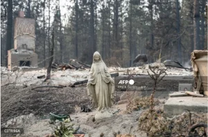 A-Virgin-Mary-statue-remains-untouched-in-front-of-a-burned-out-residential-home-in-the-Balboa-neighborhood-of-Spokane-Washington-on-August-2-2026._1785741986-300x198 Virunga National Park Steps Up Ebola Defences to Protect Communities and Endangered Mountain Gorillas in Eastern DRC