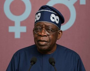 images-30-300x236 Tinubu Making Progress in Tackling Insecurity, Says Northern Elders Group